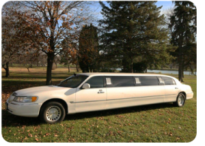 2002 120" Royal Limousine 2002 120" Royal Limousine