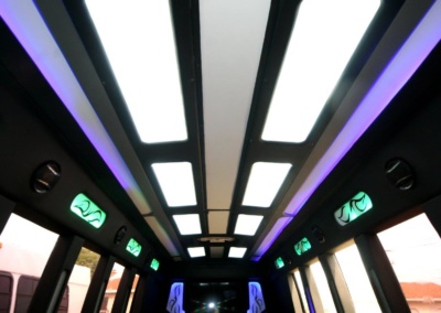 Limo Coach 22 Passenger Turtle Top Ceiling